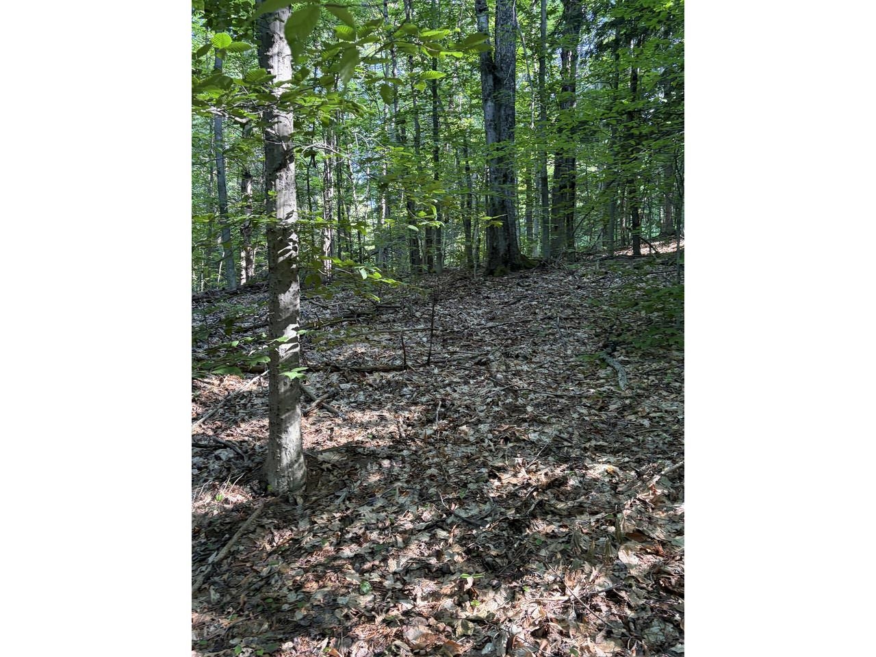 0 Old Carriage Road Waitsfield, VT 05673 - Photo 5 of 24