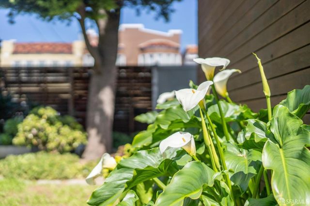 a picture of flowers