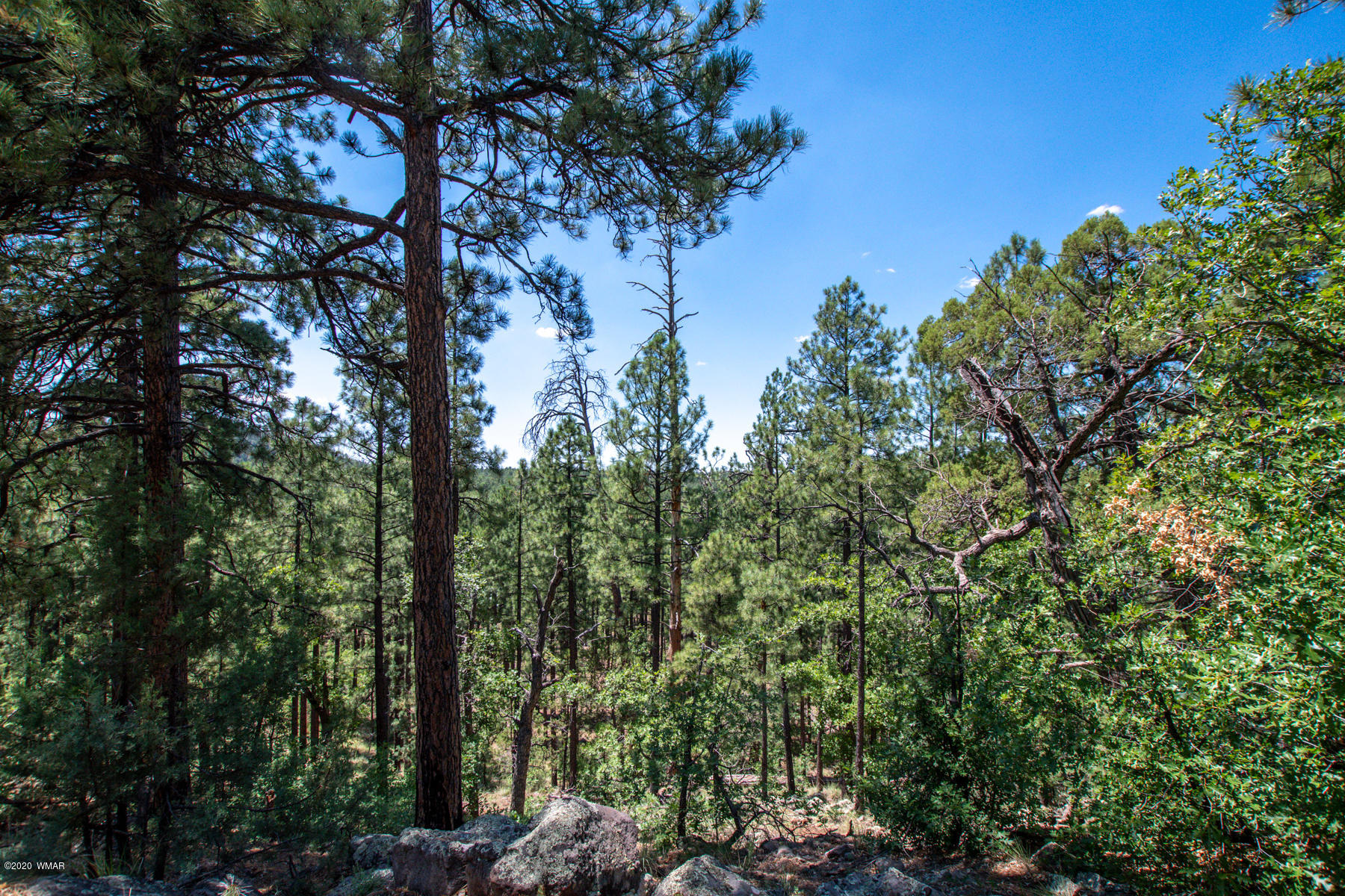 2131 East Ridge Drive Pinetop, AZ 85935 - Photo 1 of 17 Gallery Image 1