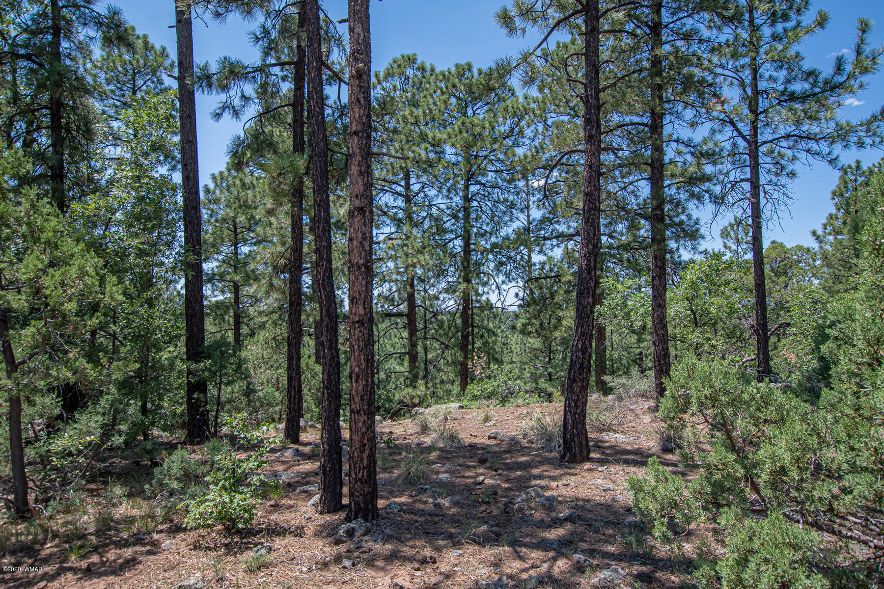 2131 East Ridge Drive Pinetop, AZ 85935 - Photo 14 of 17 Gallery Image 14