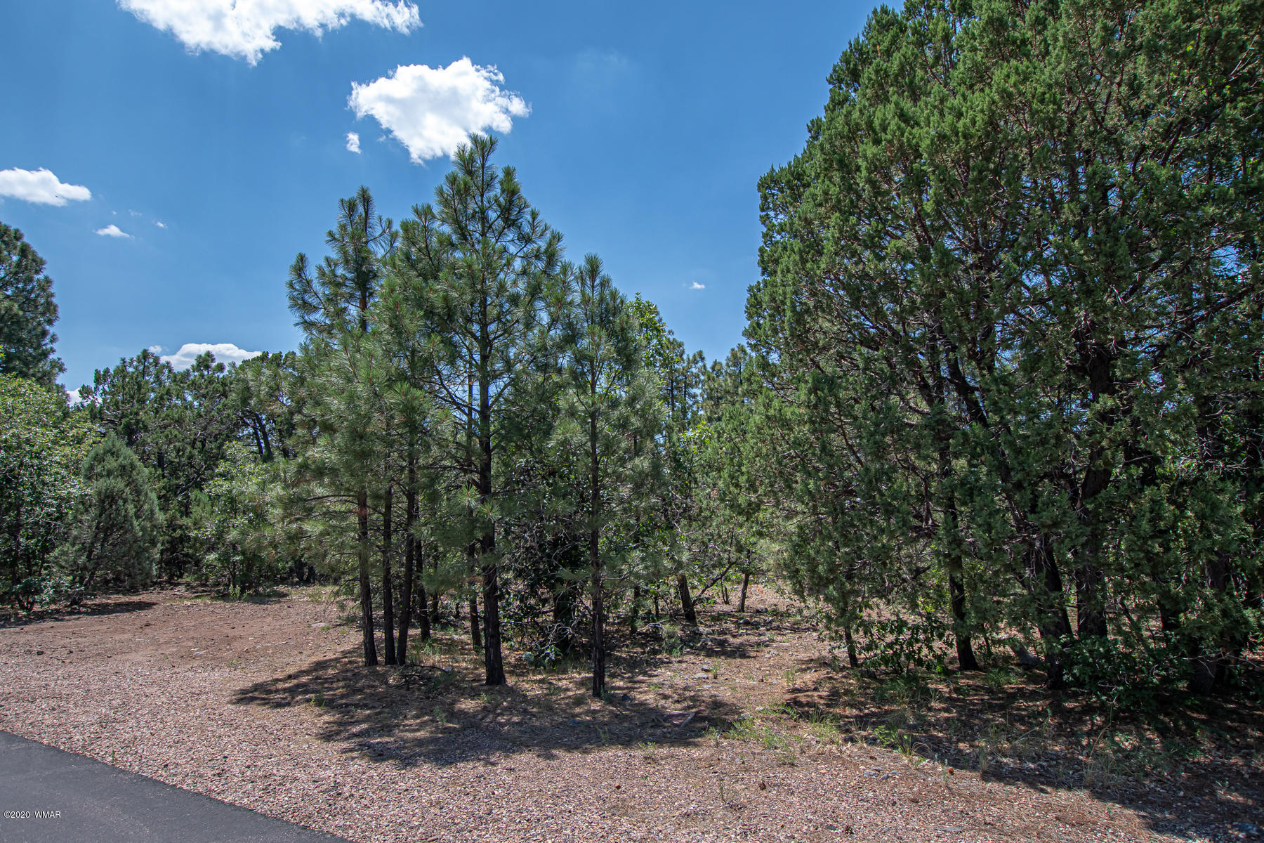 2131 East Ridge Drive Pinetop, AZ 85935 - Photo 16 of 17 Gallery Image 16