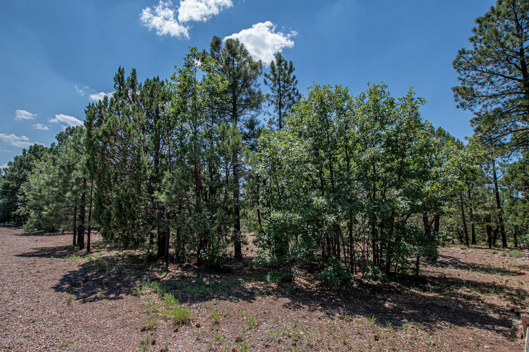 2131 East Ridge Drive Pinetop, AZ 85935 - Photo 17 of 17 Gallery Image 17