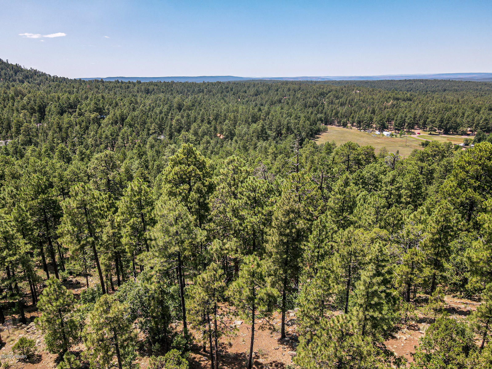 2131 East Ridge Drive Pinetop, AZ 85935 - Photo 4 of 17 Gallery Image 4
