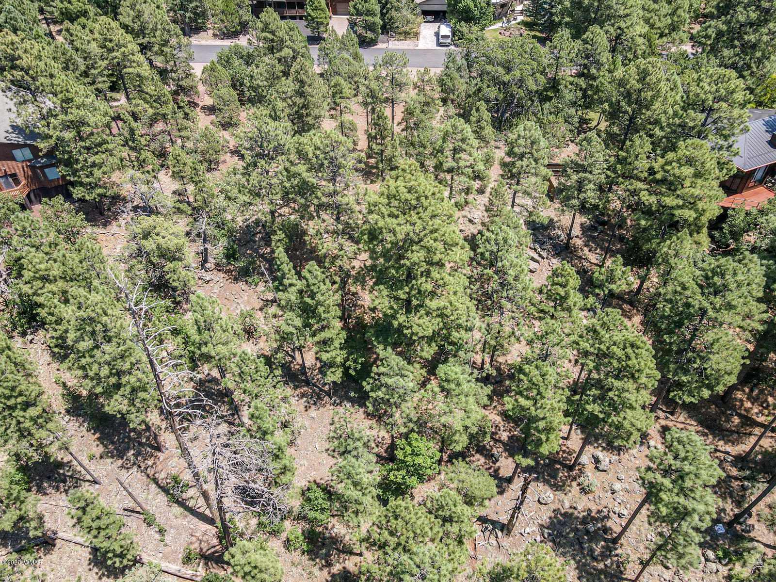 2131 East Ridge Drive Pinetop, AZ 85935 - Photo 5 of 17 Gallery Image 5