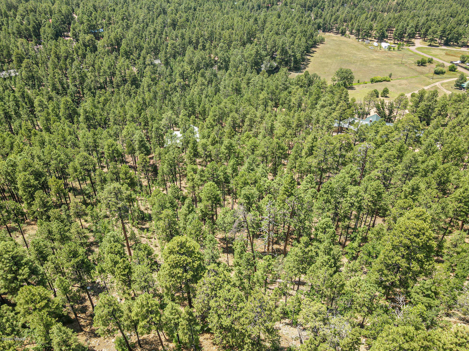 2131 East Ridge Drive Pinetop, AZ 85935 - Photo 7 of 17 Gallery Image 7