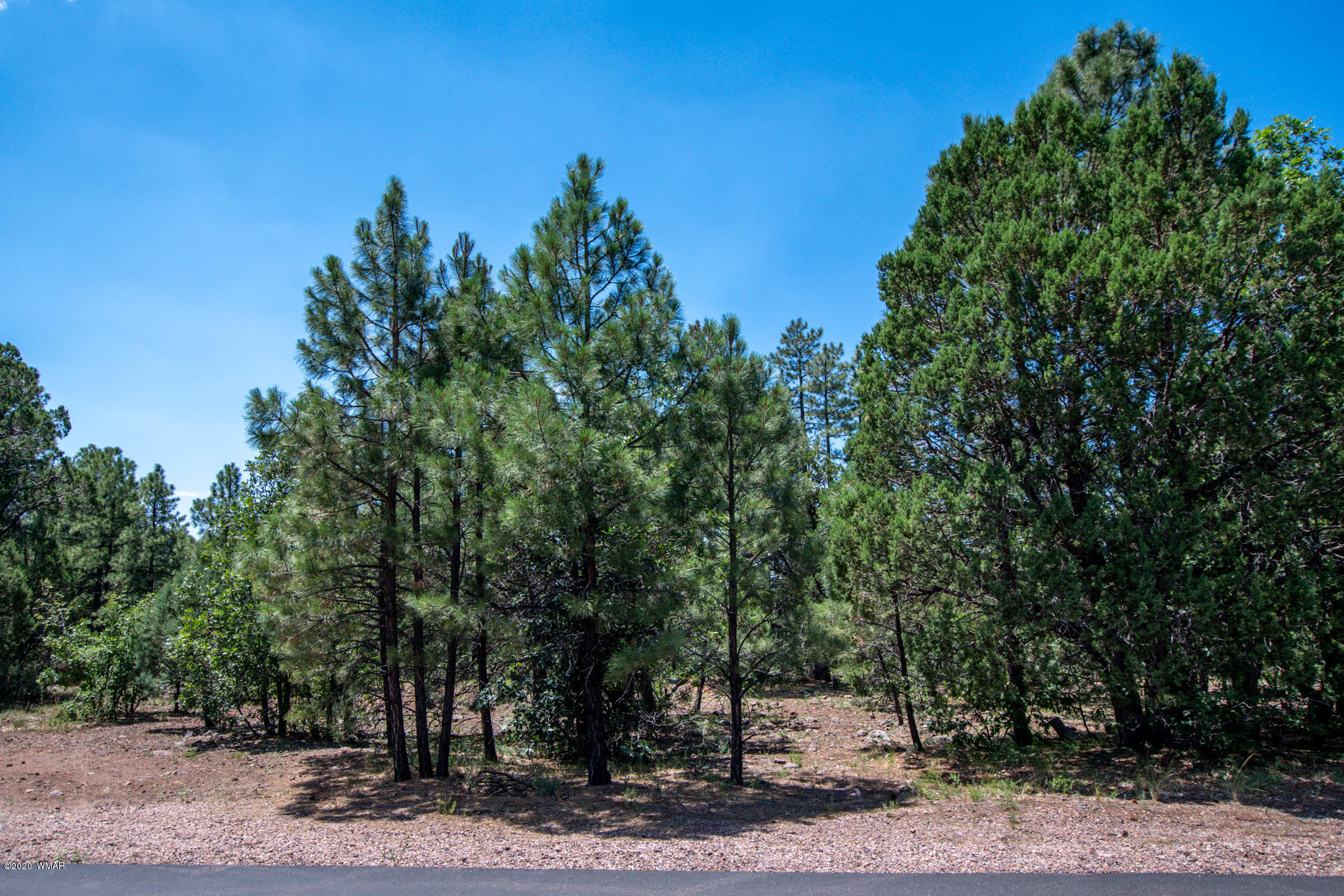 2131 East Ridge Drive Pinetop, AZ 85935 - Photo 9 of 17 Gallery Image 9
