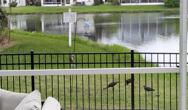 a view of a park with a lake