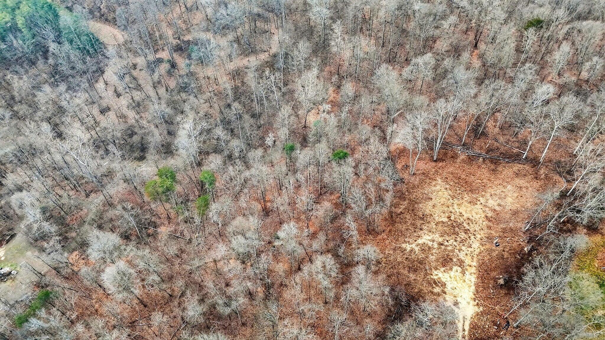 3133 4 Mile Road Jackson, OH 45640 - Photo 19 of 40 3133 Four Mile Rd 7