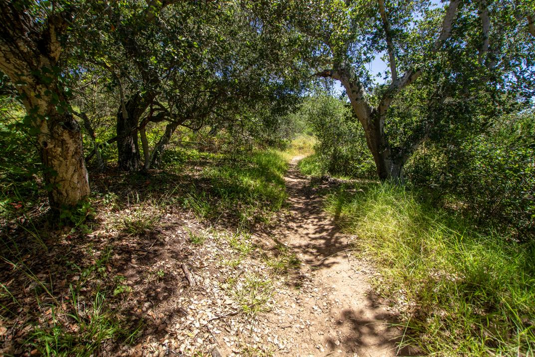 425 Echo Valley Road Salinas, CA 93907 - Photo 36 of 60