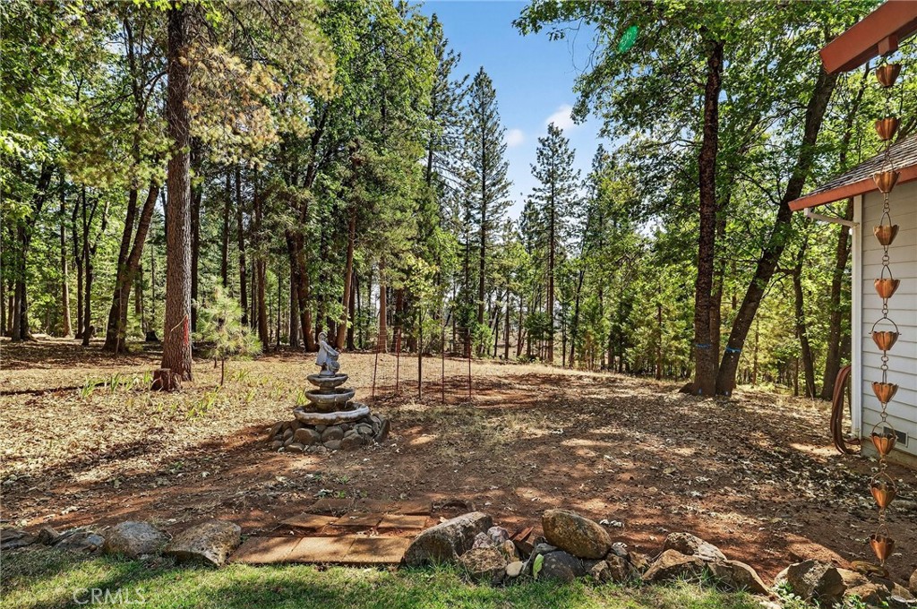 10202 Cohasset Road Chico, CA 95973 - Photo 51 of 75 a view of a tree in the middle of a yard