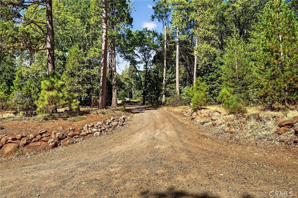 10202 Cohasset Road Chico, CA 95973 - Photo 56 of 75 a view of outdoor space with trees
