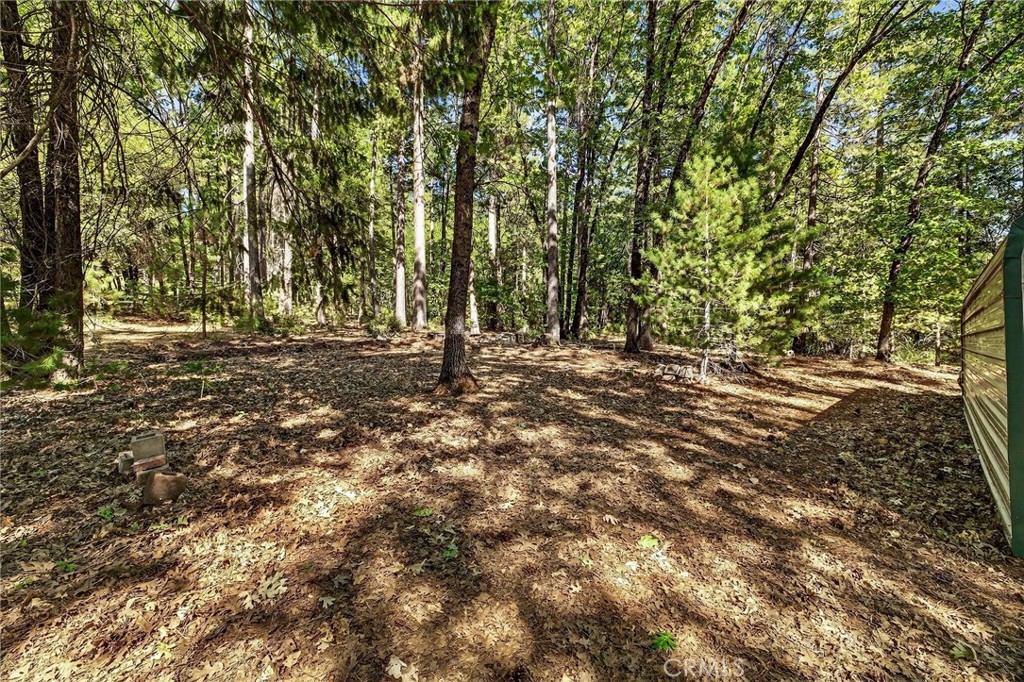 10202 Cohasset Road Chico, CA 95973 - Photo 59 of 75 a view of a tree in the middle of a yard