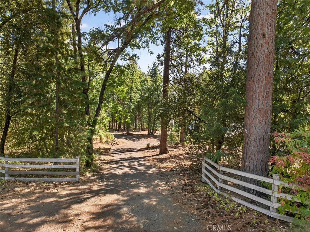 10202 Cohasset Road Chico, CA 95973 - Photo 64 of 75 a view of a bench in a yard