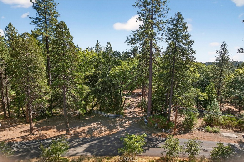 10202 Cohasset Road Chico, CA 95973 - Photo 65 of 75 a view of a forest with trees
