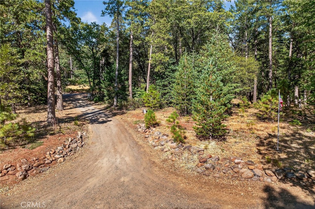 10202 Cohasset Road Chico, CA 95973 - Photo 66 of 75 a view of a forest with trees in the background