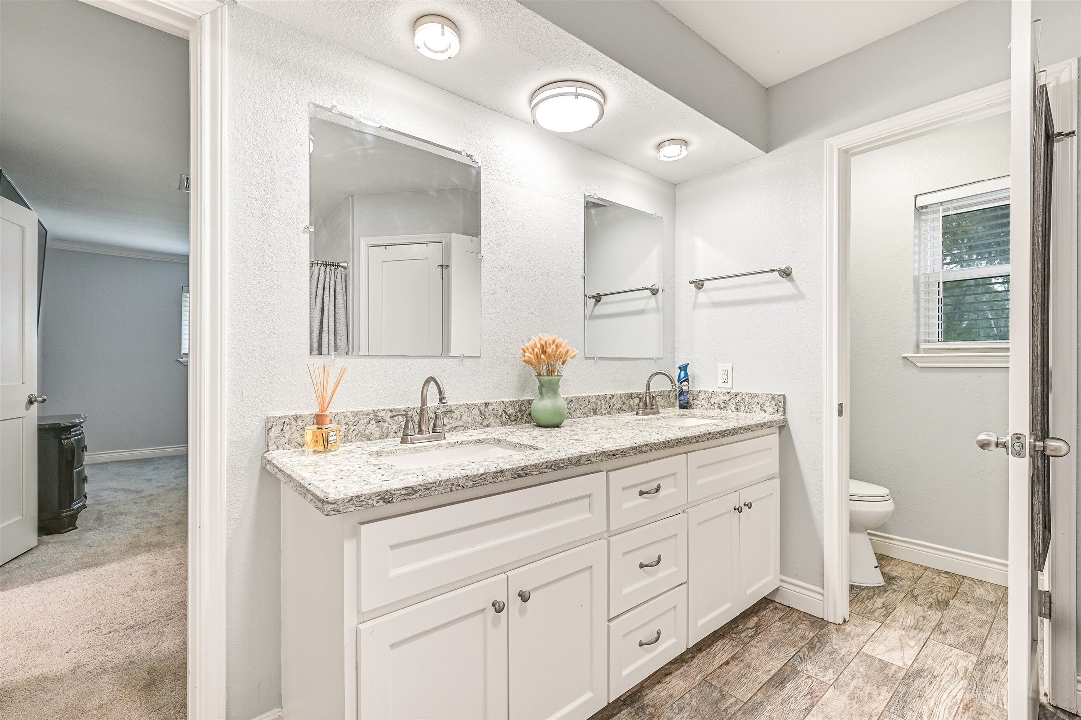 209 Buffalo Trail Lake Jackson, TX 77566 - Photo 21 of 34 a bathroom with a granite countertop sink a toilet and a mirror