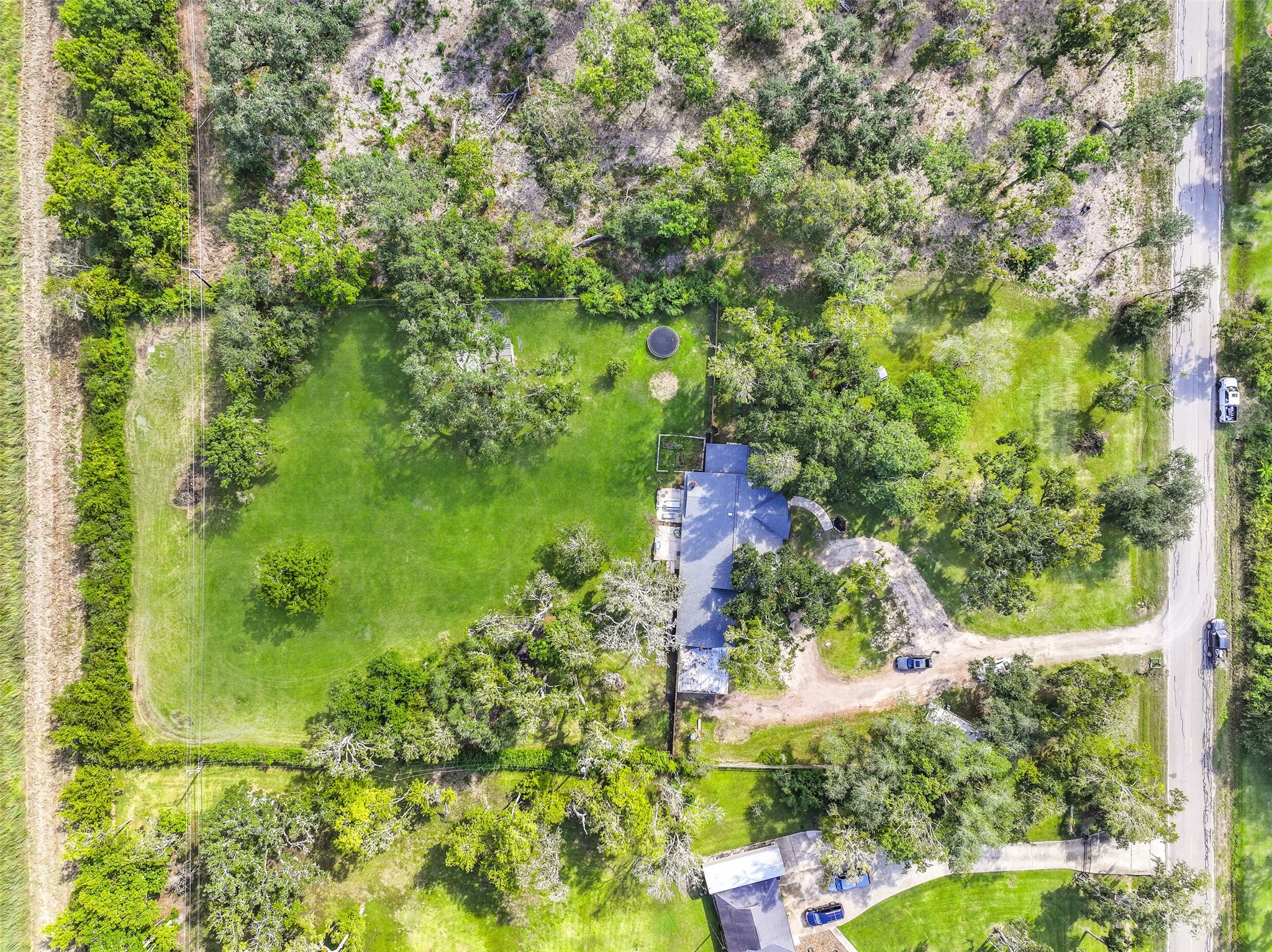 209 Buffalo Trail Lake Jackson, TX 77566 - Photo 34 of 34 a view of a garden with plants