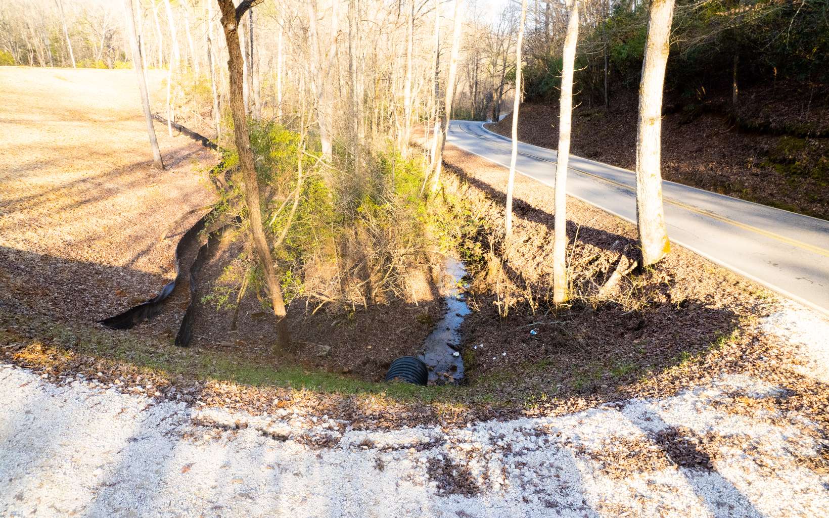 Lot D Dills Road Blue Ridge, GA 30513 - Photo 14 of 25 Additional View