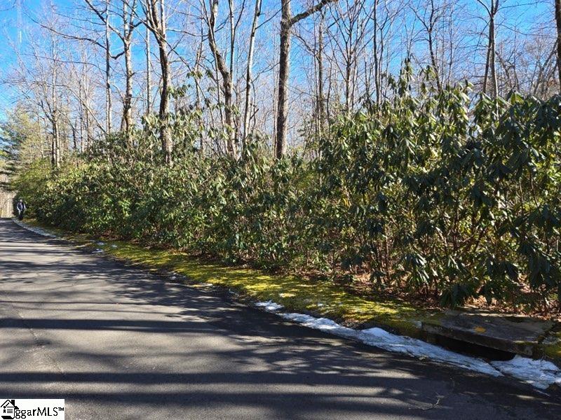 108 Hemlock Trail Cleveland, SC 29635 - Photo 2 of 8