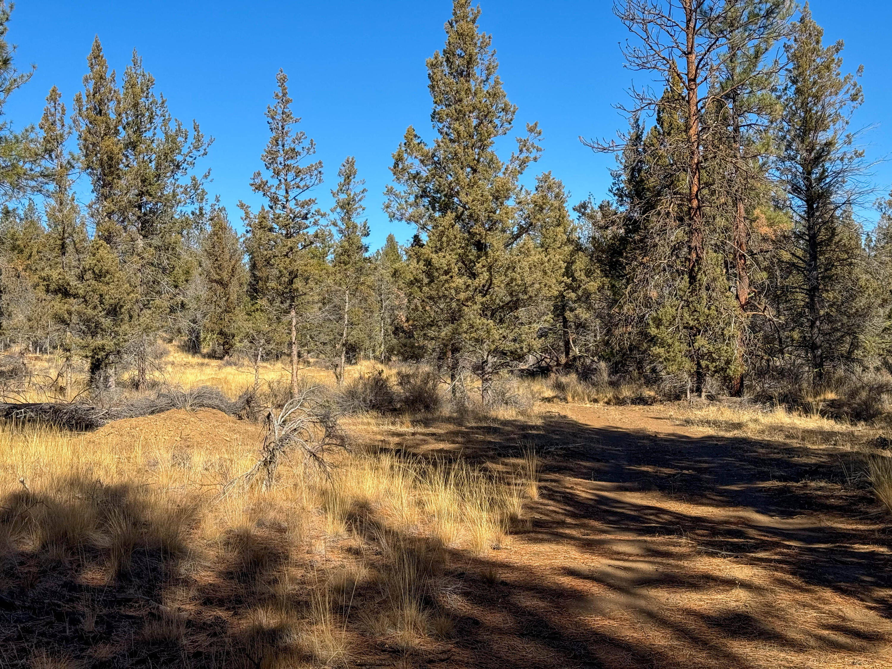 17390 Big Buck Road Sisters, OR 97759 - Photo 25 of 35 13790 Big Buck rd-44