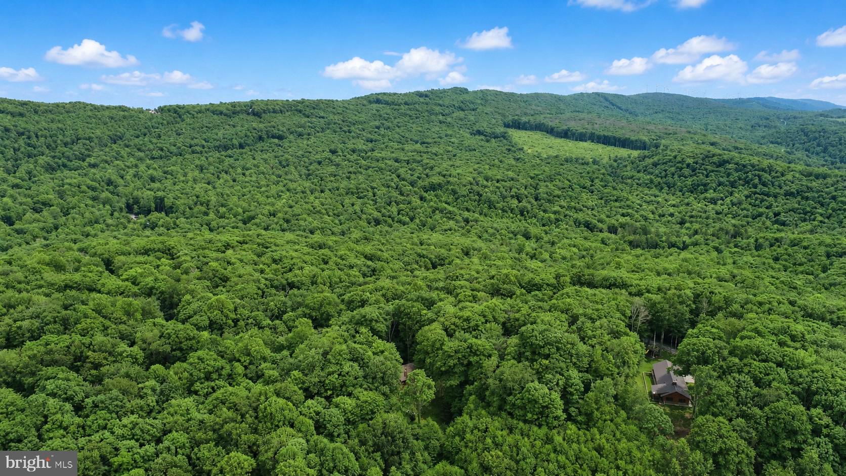 254 Little Mountain Road Oakland, MD 21550 - Photo 51 of 53