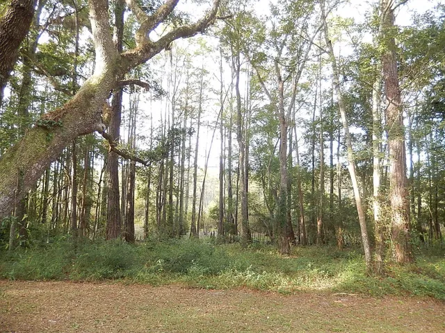 $1,025 | 4724 Cobblestone Lane, Tallahassee, FL 32305