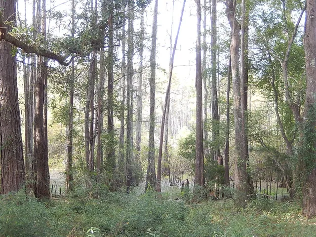 $1,025 | 4724 Cobblestone Lane, Tallahassee, FL 32305