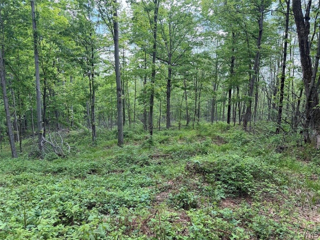 Dye Road South Dayton, NY 14138 - Photo 23 of 27