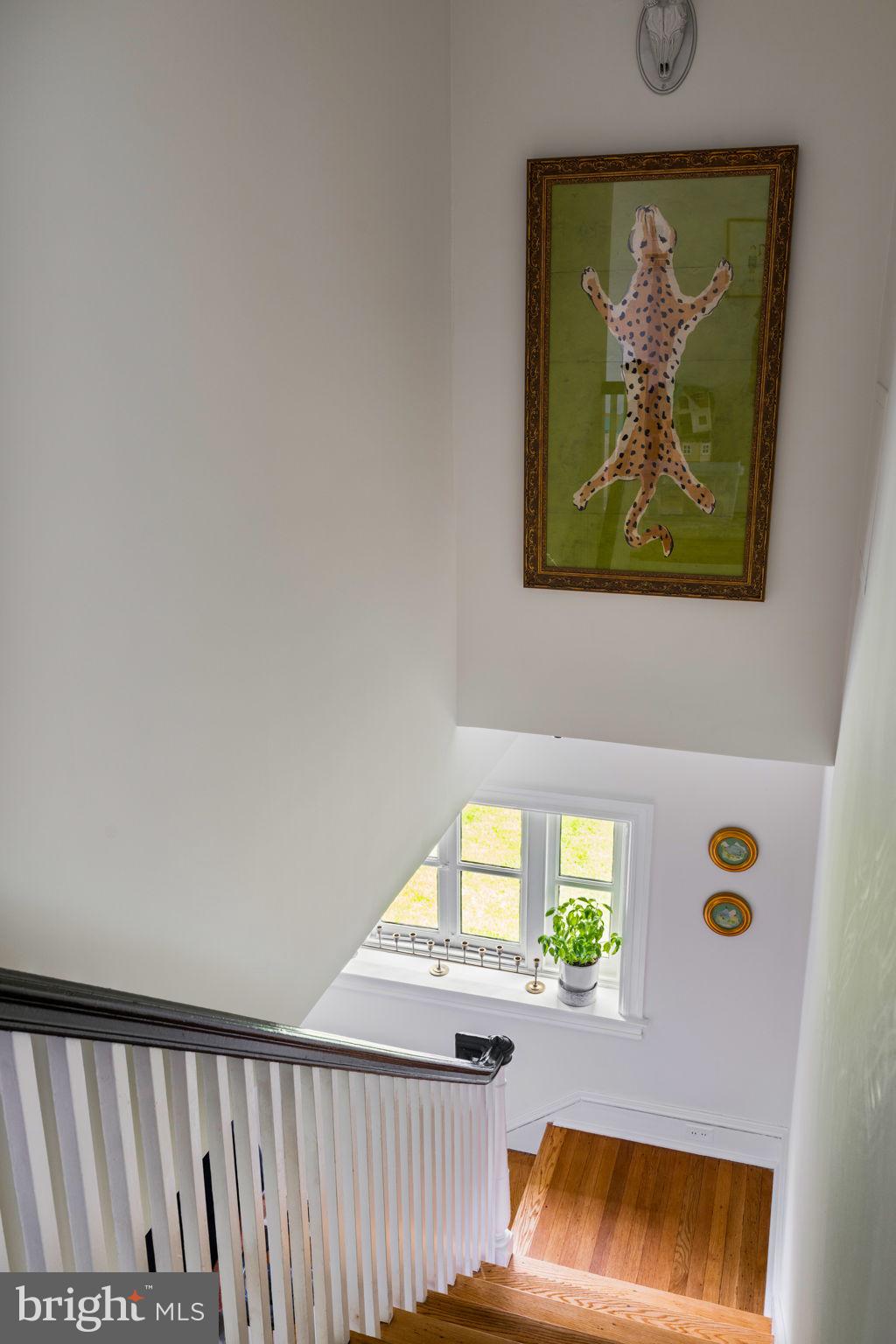 3000 Midvale Avenue Philadelphia, PA 19129 - Photo 63 of 96