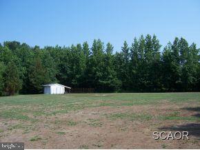 11359 East Snake Road Laurel, DE 19956 - Photo 3 of 8