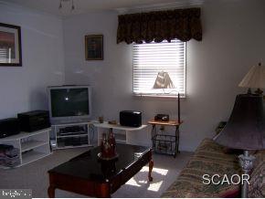 11359 East Snake Road Laurel, DE 19956 - Photo 4 of 8