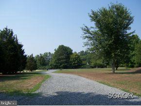 11359 East Snake Road Laurel, DE 19956 - Photo 8 of 8