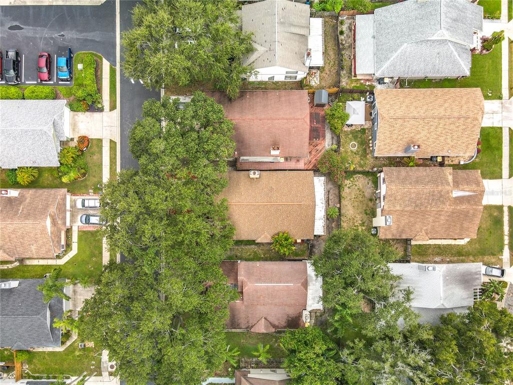 1876 Springbush Lane Clearwater, FL 33763 - Photo 34 of 40