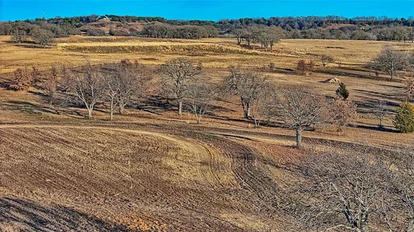 a view of a backyard with wooden fence