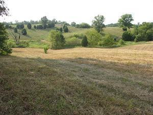 470 Gritton Road Salvisa, KY 40372 - Photo 88 of 96 Photo 90