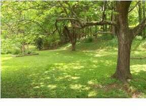 4312 Howell Road Chattanooga, TN 37411 - Photo 2 of 8 Additional Photo