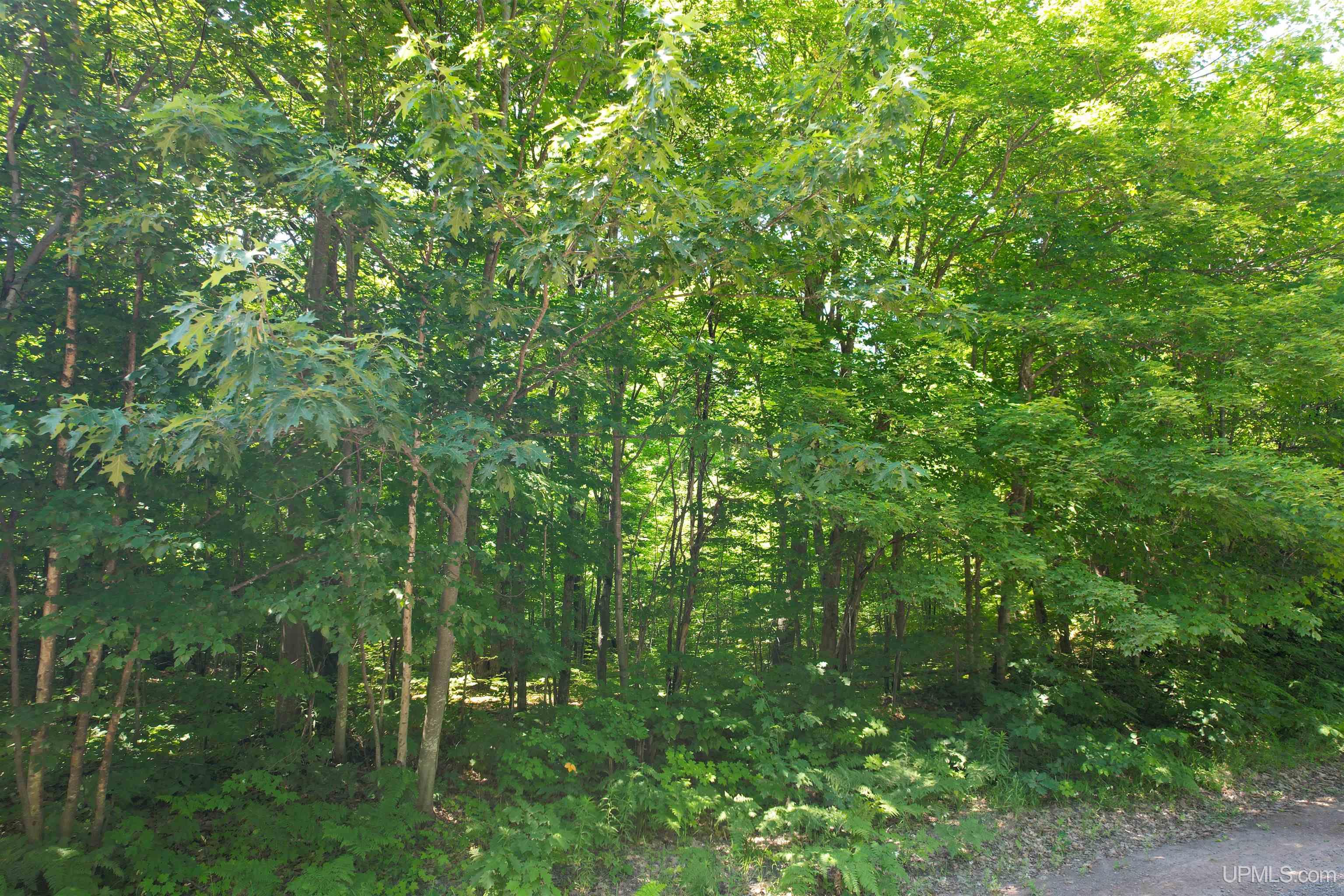 Tbd Superior Shores Road Atlantic Mine, MI 49905 - Photo 22 of 27
