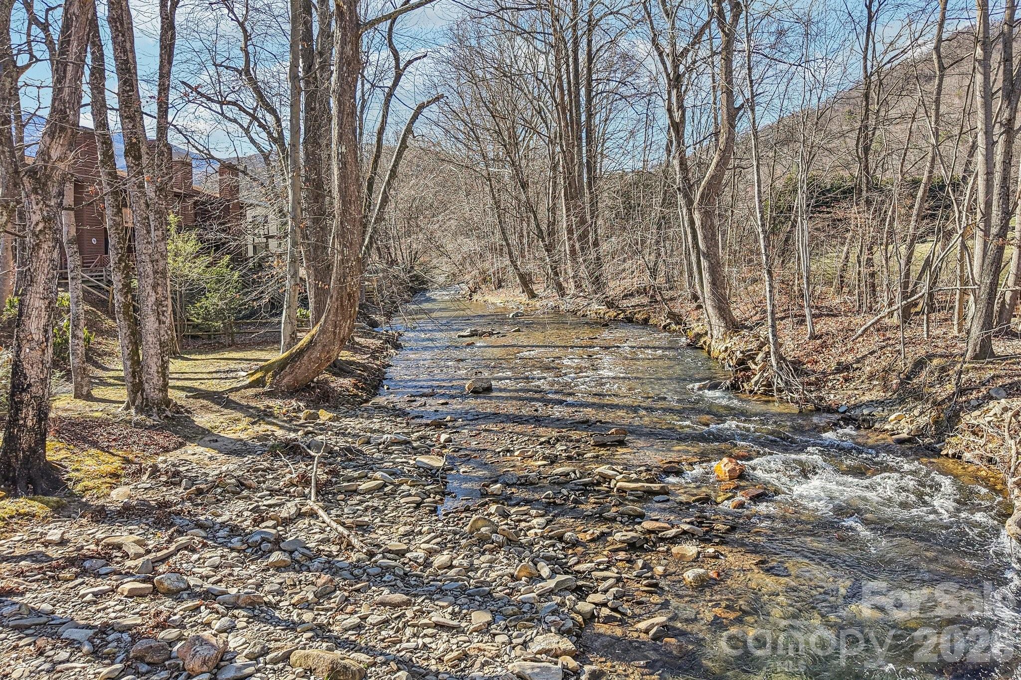 129 Riverside Villa Drive Maggie Valley, NC 28751 - Photo 14 of 43 a view of yard