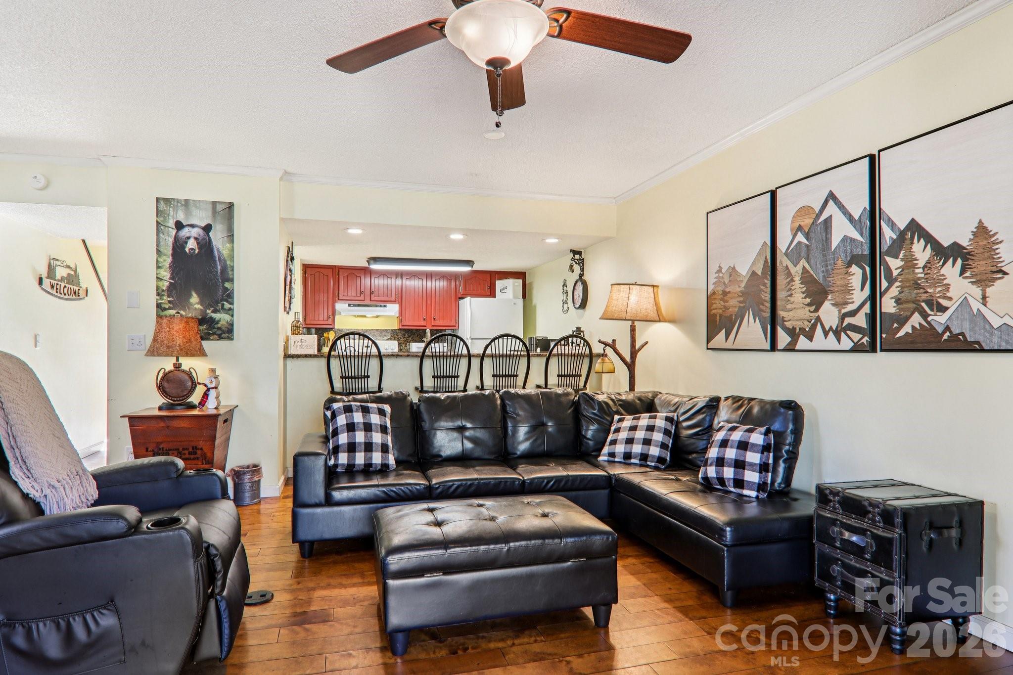 129 Riverside Villa Drive Maggie Valley, NC 28751 - Photo 37 of 43 a living room with furniture a couch and a ceiling fan