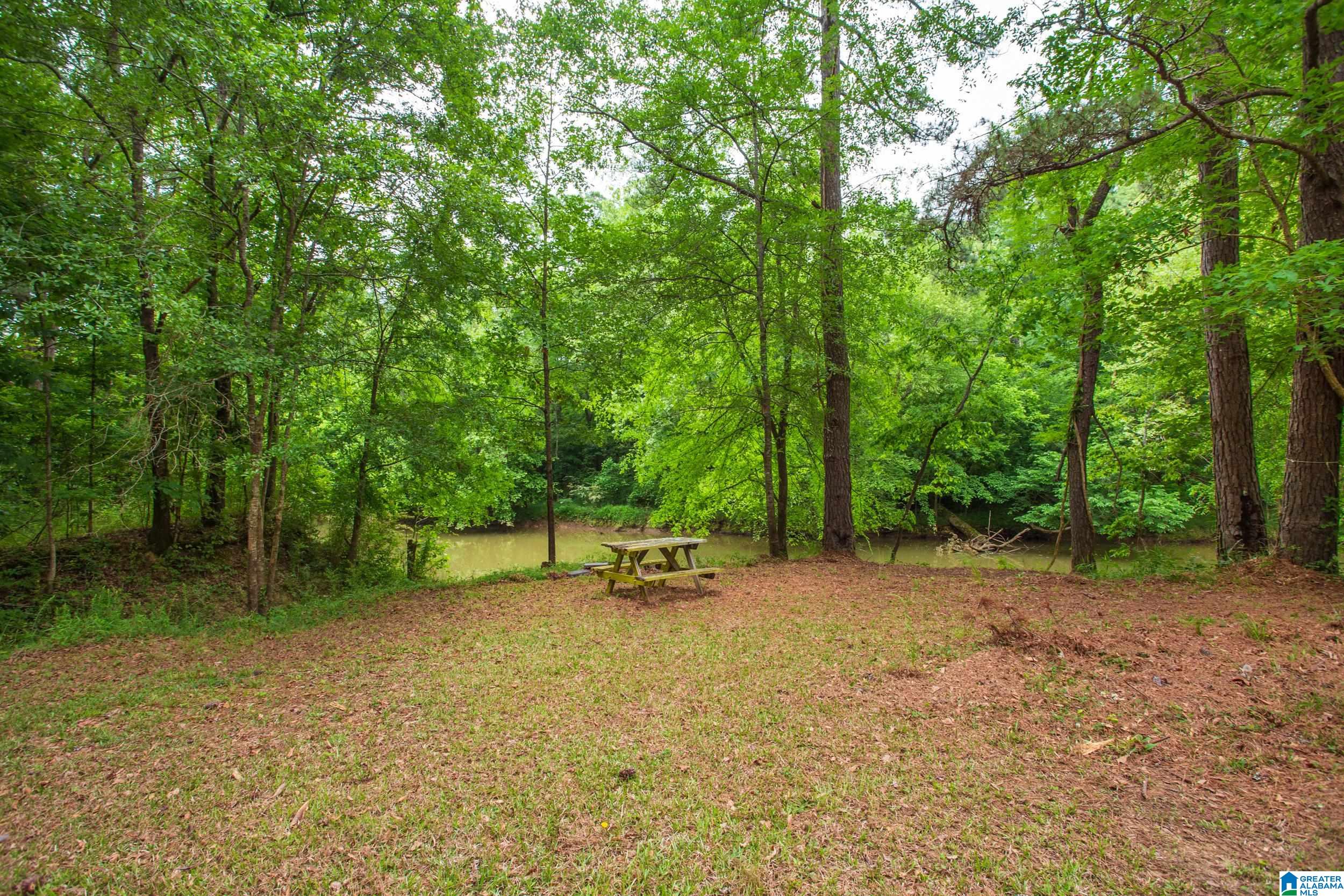 373 Seminole Trail Ohatchee, AL 36271 - Photo 18 of 41