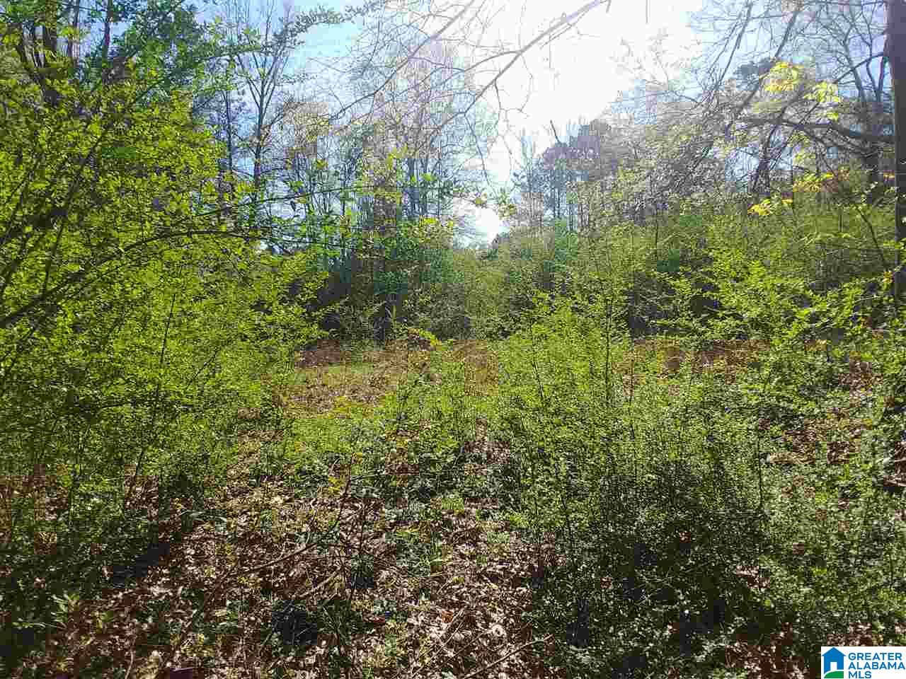 0 Roberts Mill Pond Road, Unit 1 39 Pell City, AL 35128 - Photo 9 of 29