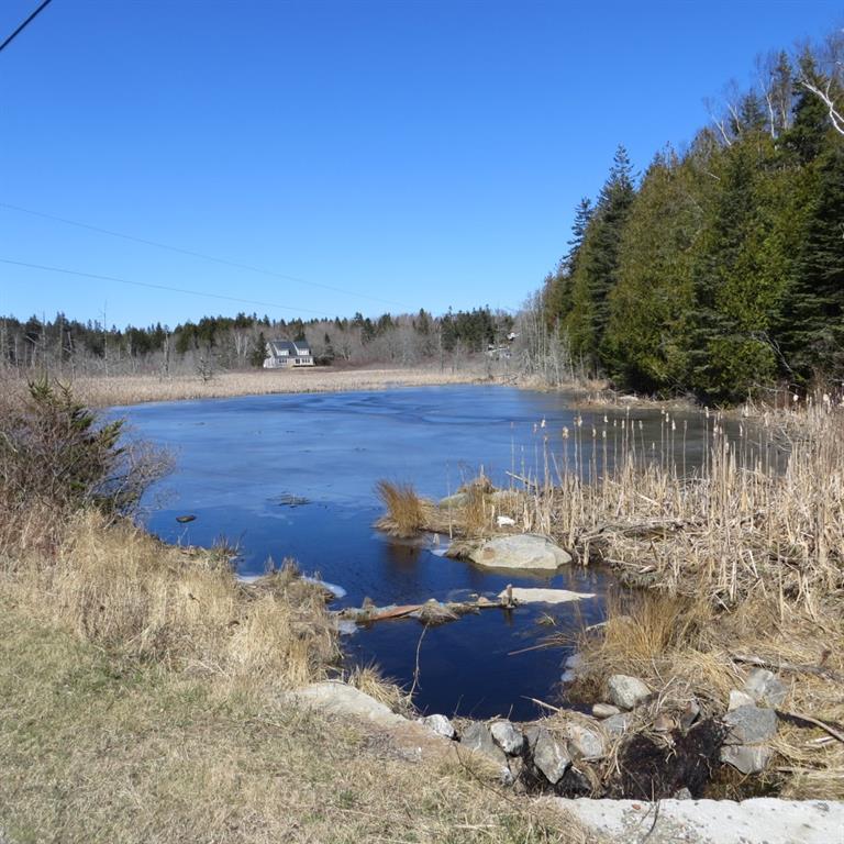 127 Horse Point Road St. George, ME 04860 - Photo 25 of 29 Duck Pond View on Horse Pt. Road