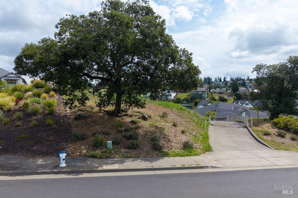 3780 St Andrews Drive Santa Rosa, CA 95403 - Photo 3 of 10