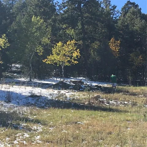 $365,000 | 14745 Wetterhorn Peak Trail, Pine, CO 80470