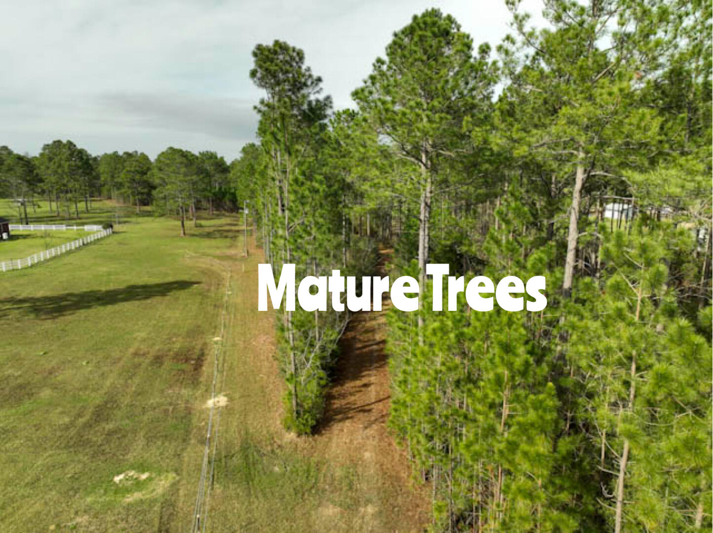 Tbd Melton Road Baker, FL 32531 - Photo 2 of 12 a view of a large yard with plants and large trees