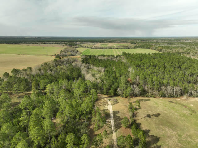 Tbd Melton Road Baker, FL 32531 - Photo 7 of 12