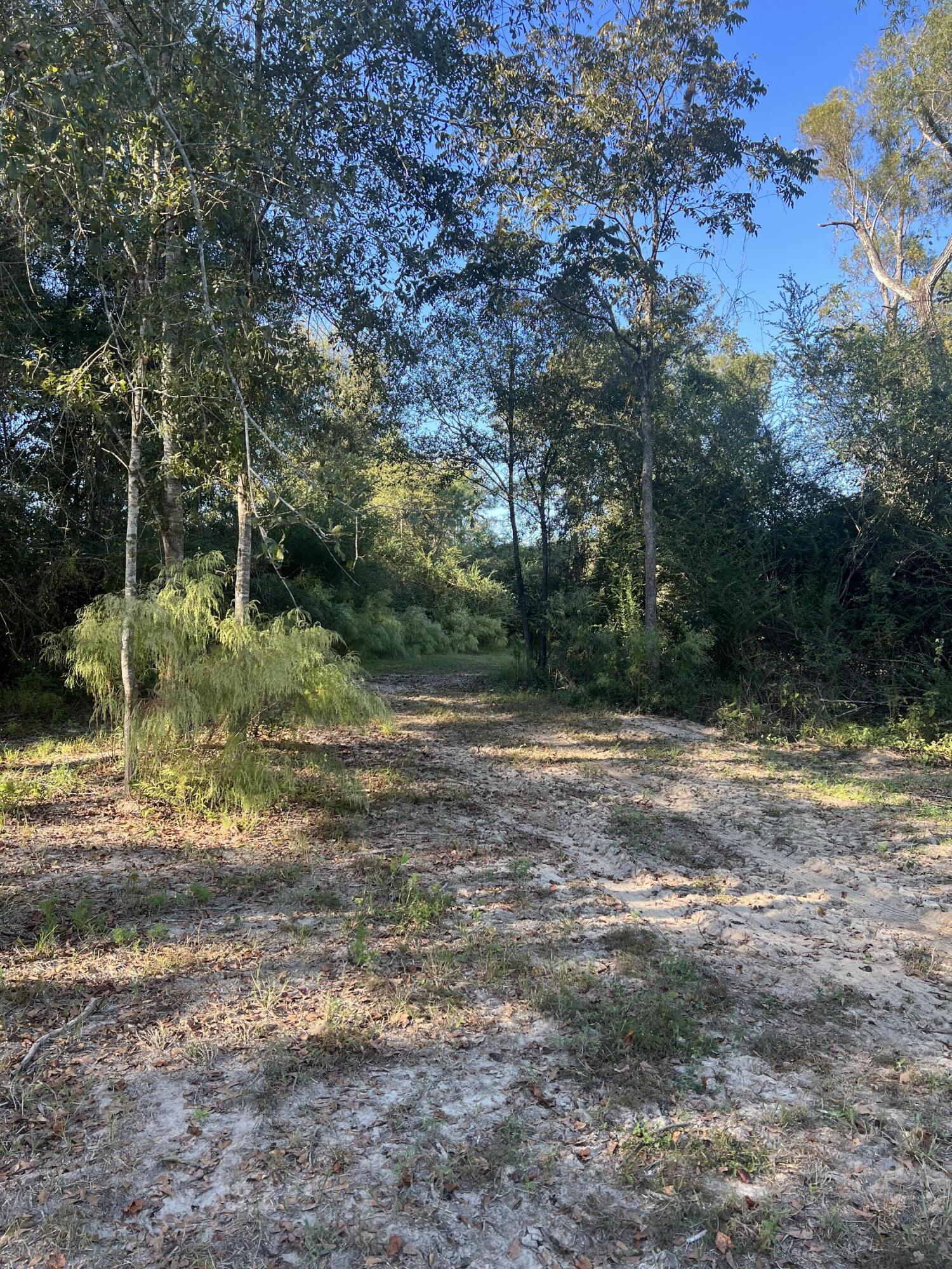 Tbd Melton Road Baker, FL 32531 - Photo 9 of 12 a view of a yard with a tree