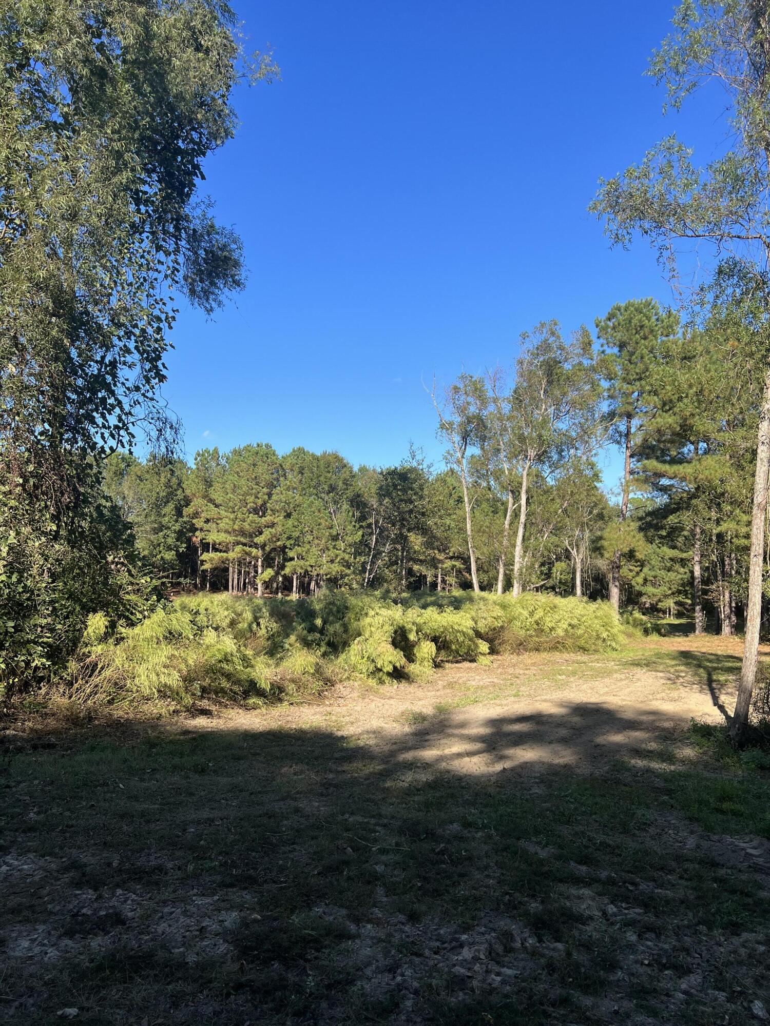 Tbd Melton Road Baker, FL 32531 - Photo 10 of 12 a view of a yard with an outdoor space
