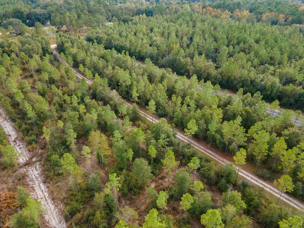 9 Old River Road Lakeland, GA 31635 - Photo 1 of 23 Gallery Image 1