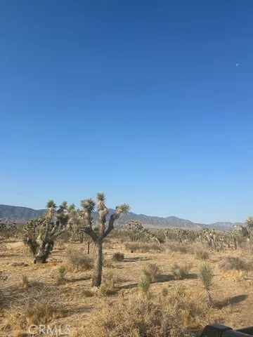 $95,000 | 0 East E Avenue, Llano, CA 93544